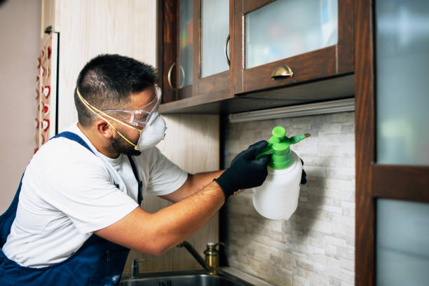 Best Best Pest Control Companies  in Martin, TN